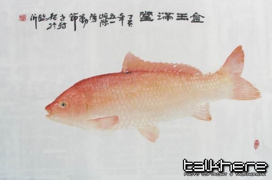 调整大小 IMG_0054.jpg
