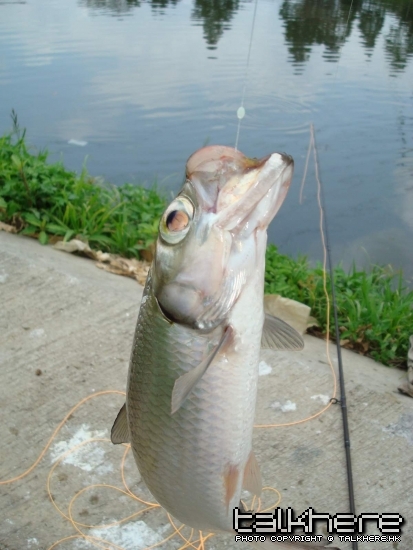 DSC00673.JPG