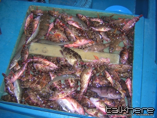 DSCN5918.JPG
