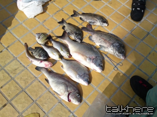 DSC01122.jpg