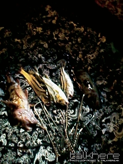 IMAG0225.jpg