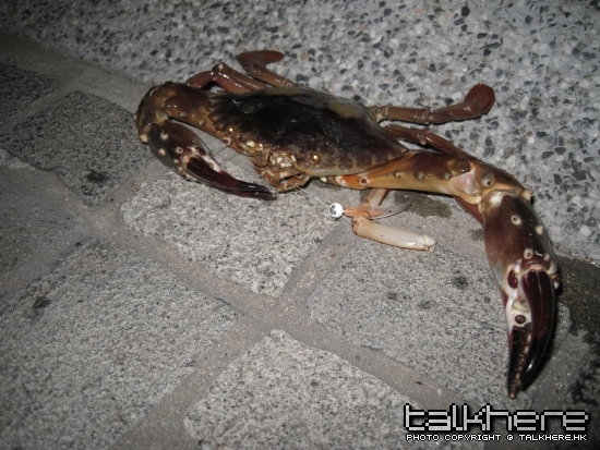小物~May-2009 010.jpg
