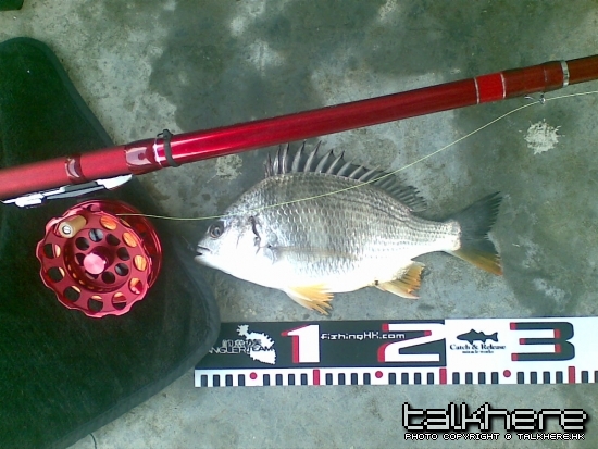 12052009216.jpg
