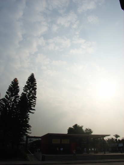 RIMG0484.JPG