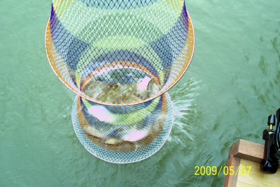 100_4446_exposure_缩小大小.jpg