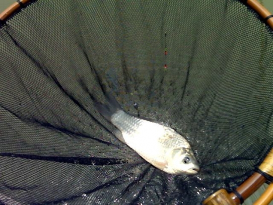 pic00378_exposure.jpg