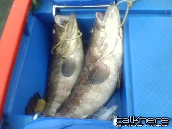 照片 034.jpg