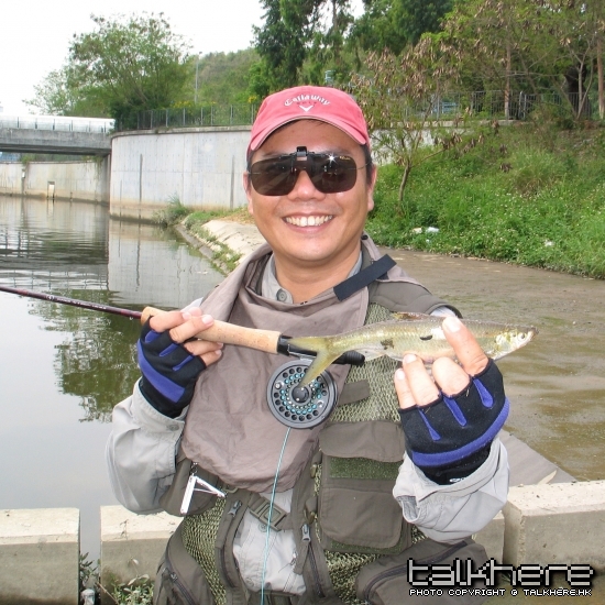 IMG_0817 copy.jpg