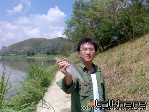 香港的飛蠅釣目標魚~海水及淡水