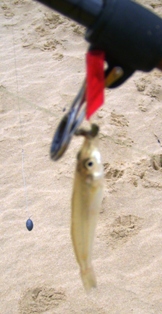 S7002906.JPG