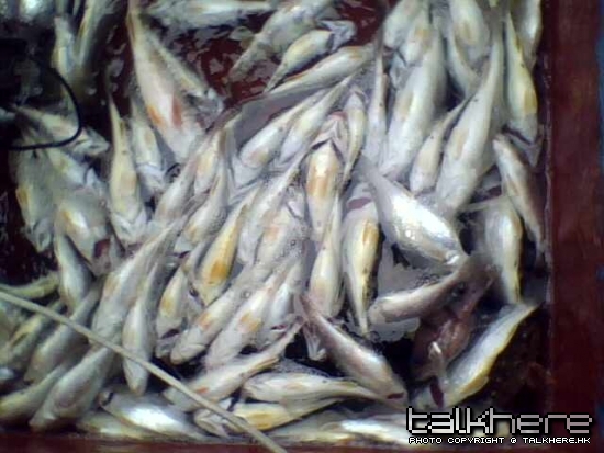 照片 038.jpg