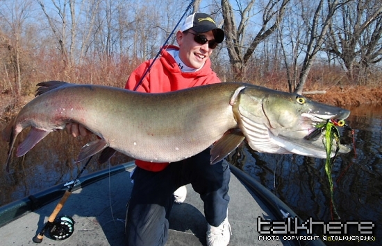 PujBigMuskie10web.jpg