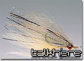 clouser.jpg