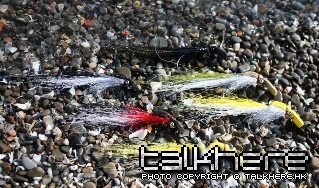 swimtruebass.jpg