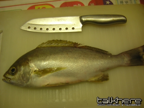 DSCN6086.JPG