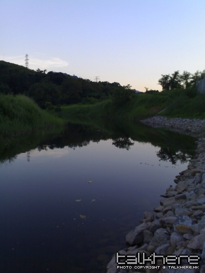 20060625025_982.jpg