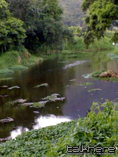 20060625027_169.jpg