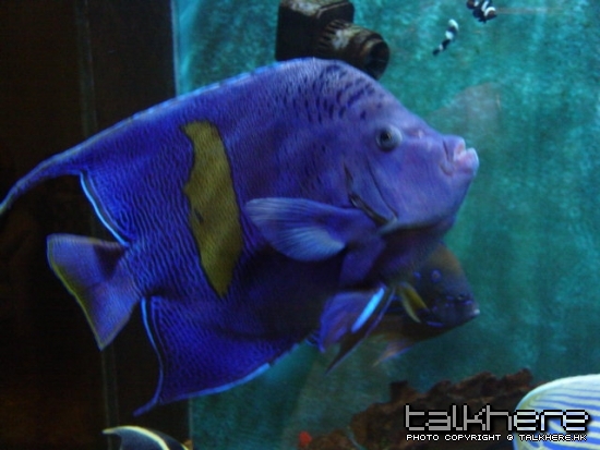 DSC01264.JPG