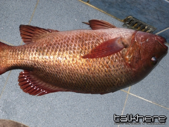 照片.jpg