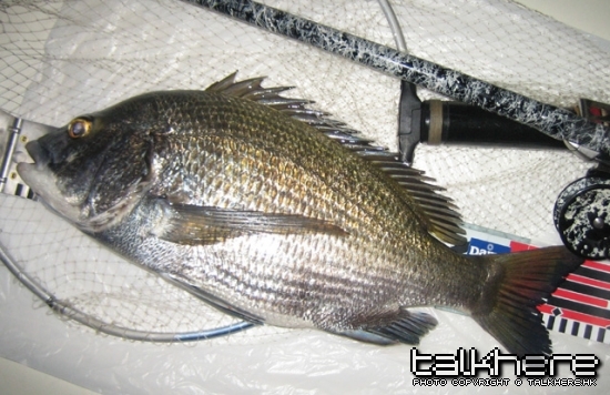 複製 -IMG_0167.JPG