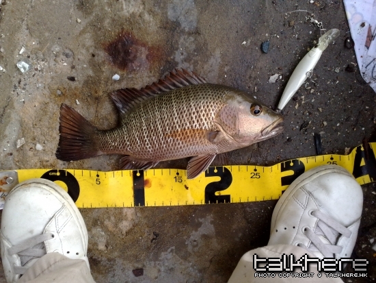 20090603215.jpg