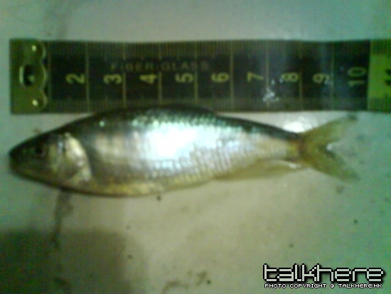 DSC01340.JPG