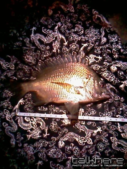 IMAG0284.jpg