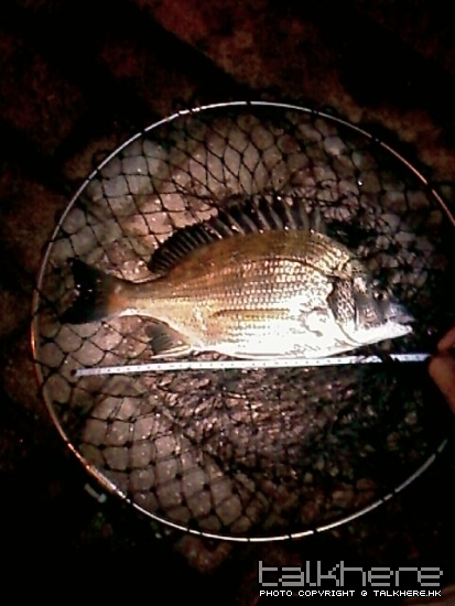 IMAG0271.jpg
