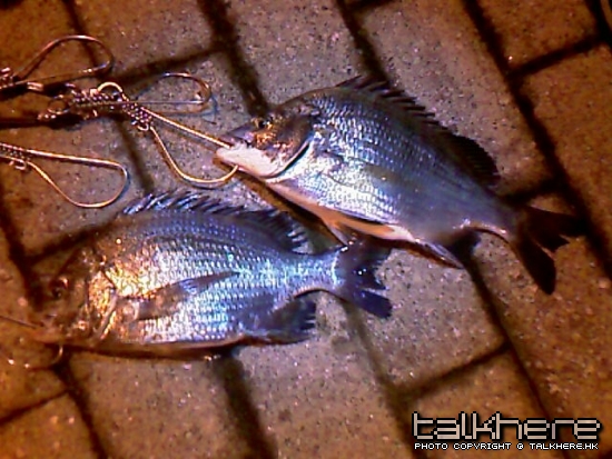 IMAG0302.jpg