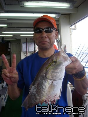 IMGP4238.JPG