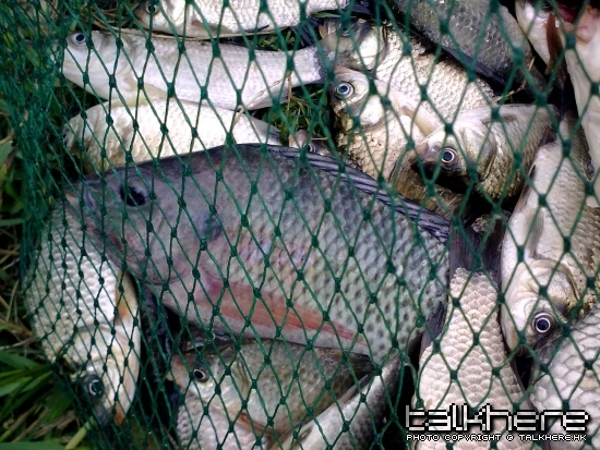 20090520125.jpg