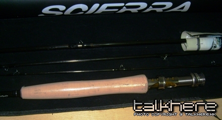 03.JPG