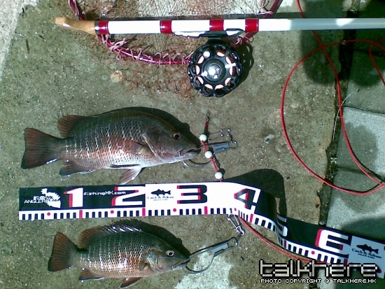 01072009243.jpg