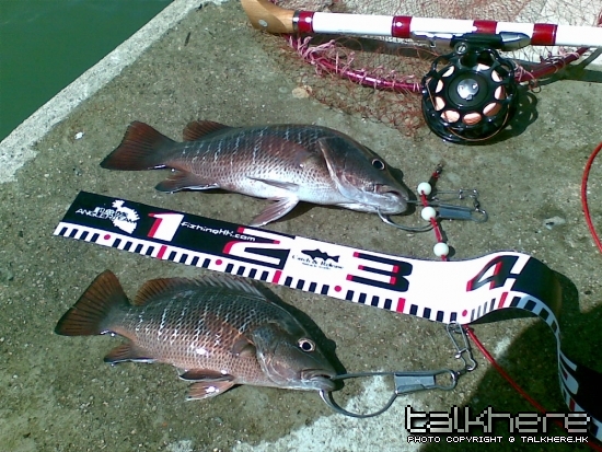 01072009244.jpg