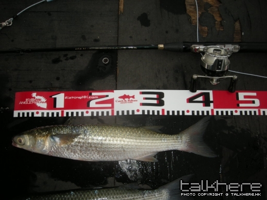 DSCN1318.JPG