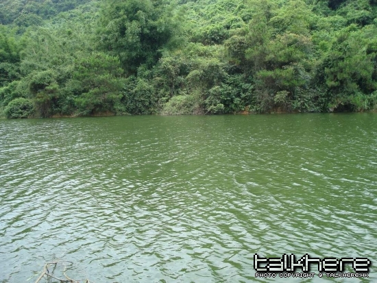DSC00804.JPG