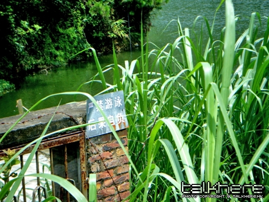 DSCF5113.JPG