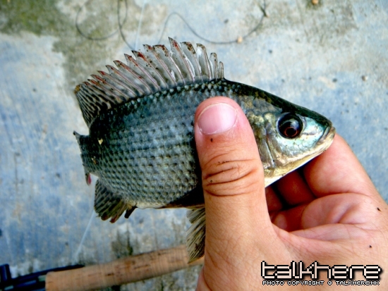 DSCF5117.JPG