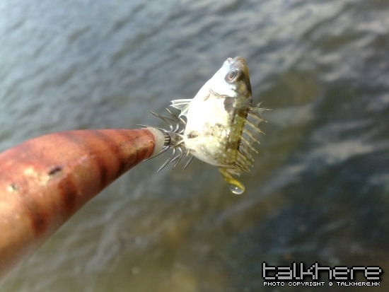 200907071299.jpg