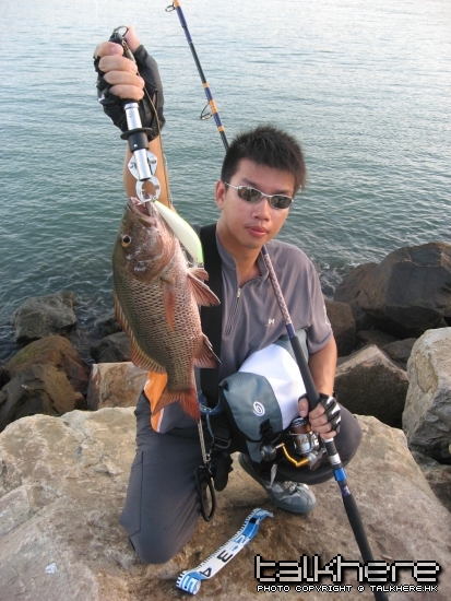 IMG_6378.JPG
