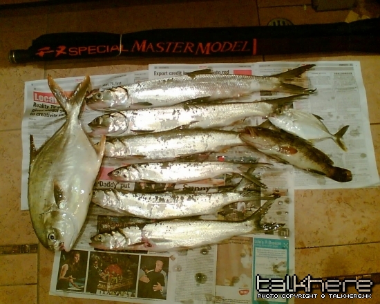 正野丫010.jpg