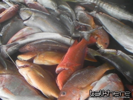 SANY0179.JPG