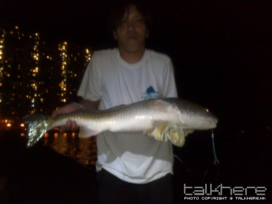 20080920248.jpg