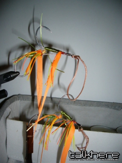 010.JPG
