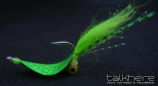 Spoon Fly 02.jpg