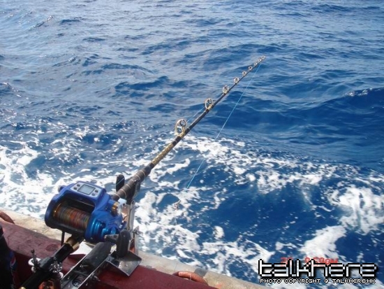 ALPHA TACKLE  DEEP IMPACT "MUTEKI" II
