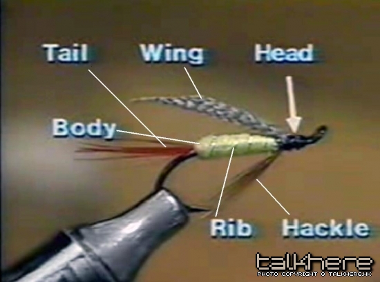 Fly Basics.jpg