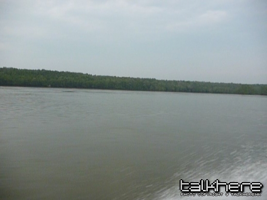 P1000056.JPG