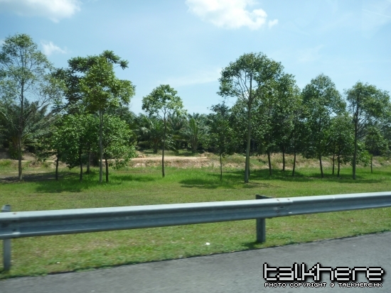 P1000046.JPG
