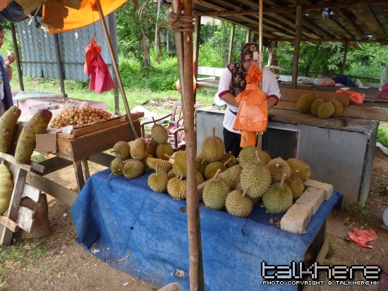 P1000072.JPG